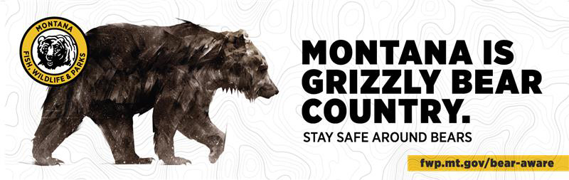 Grizzly Country